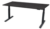 REV100 Height-Adjustable Desk