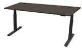 REV100 Height-Adjustable Desk