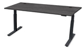 REV100 Height-Adjustable Desk
