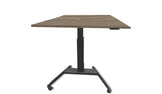 REV1900 Height-Adjustable Workstation