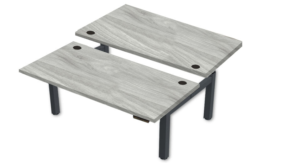 REV300 Dual Height-Adjustable Desk