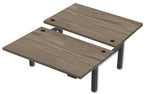 REV300 Dual Height-Adjustable Desk