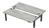 REV300 Dual Height-Adjustable Desk