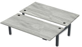 REV300 Dual Height-Adjustable Desk