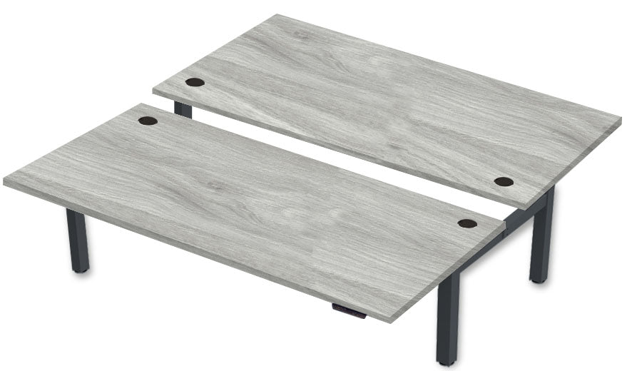 REV300 Dual Height-Adjustable Desk