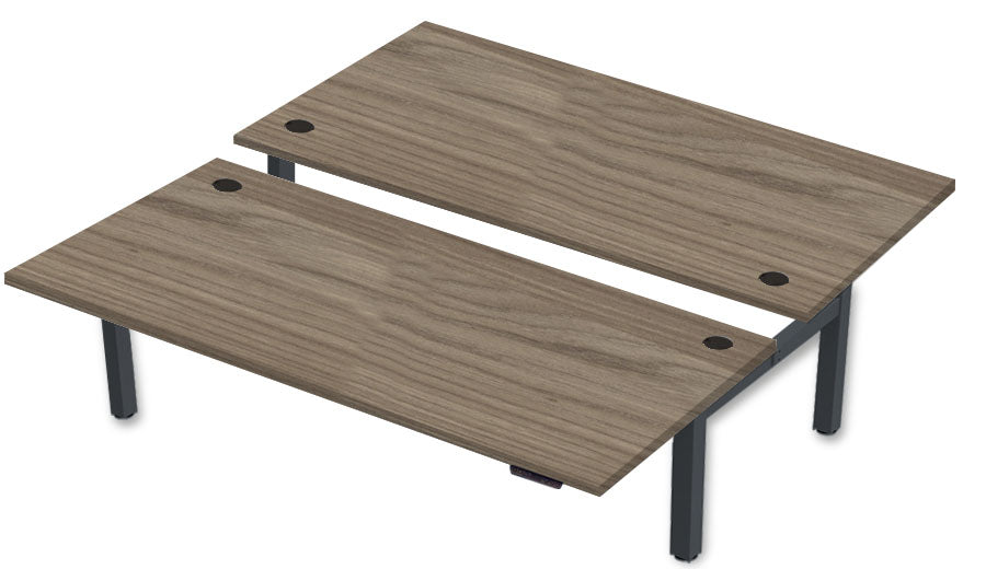 REV300 Dual Height-Adjustable Desk