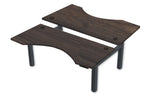 REV300 Dual Height-Adjustable Desk