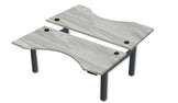REV300 Dual Height-Adjustable Desk