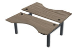 REV300 Dual Height-Adjustable Desk