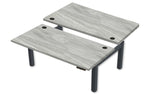 REV300 Dual Height-Adjustable Desk