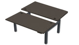 REV300 Dual Height-Adjustable Desk