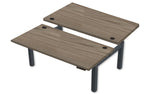 REV300 Dual Height-Adjustable Desk