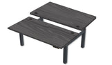 REV300 Dual Height-Adjustable Desk