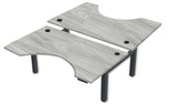 REV300 Dual Height-Adjustable Desk