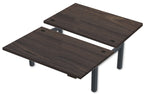 REV300 Dual Height-Adjustable Desk