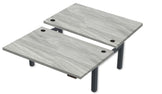 REV300 Dual Height-Adjustable Desk