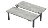 REV300 Dual Height-Adjustable Desk
