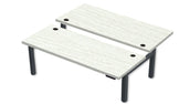 REV300 Dual Height-Adjustable Desk