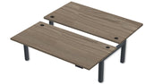 REV300 Dual Height-Adjustable Desk