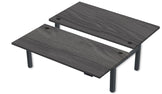 REV300 Dual Height-Adjustable Desk