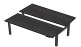 REV300 Dual Height-Adjustable Desk