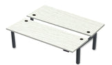 REV300 Dual Height-Adjustable Desk